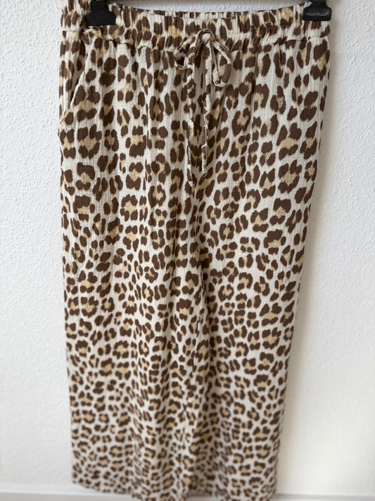 Leo Musselin Hose