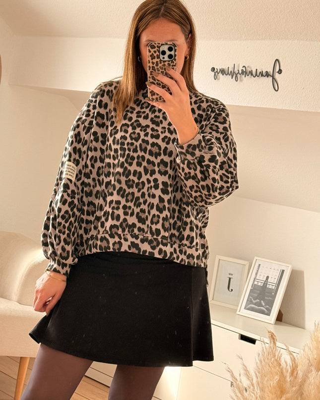 Leo Pullover grau